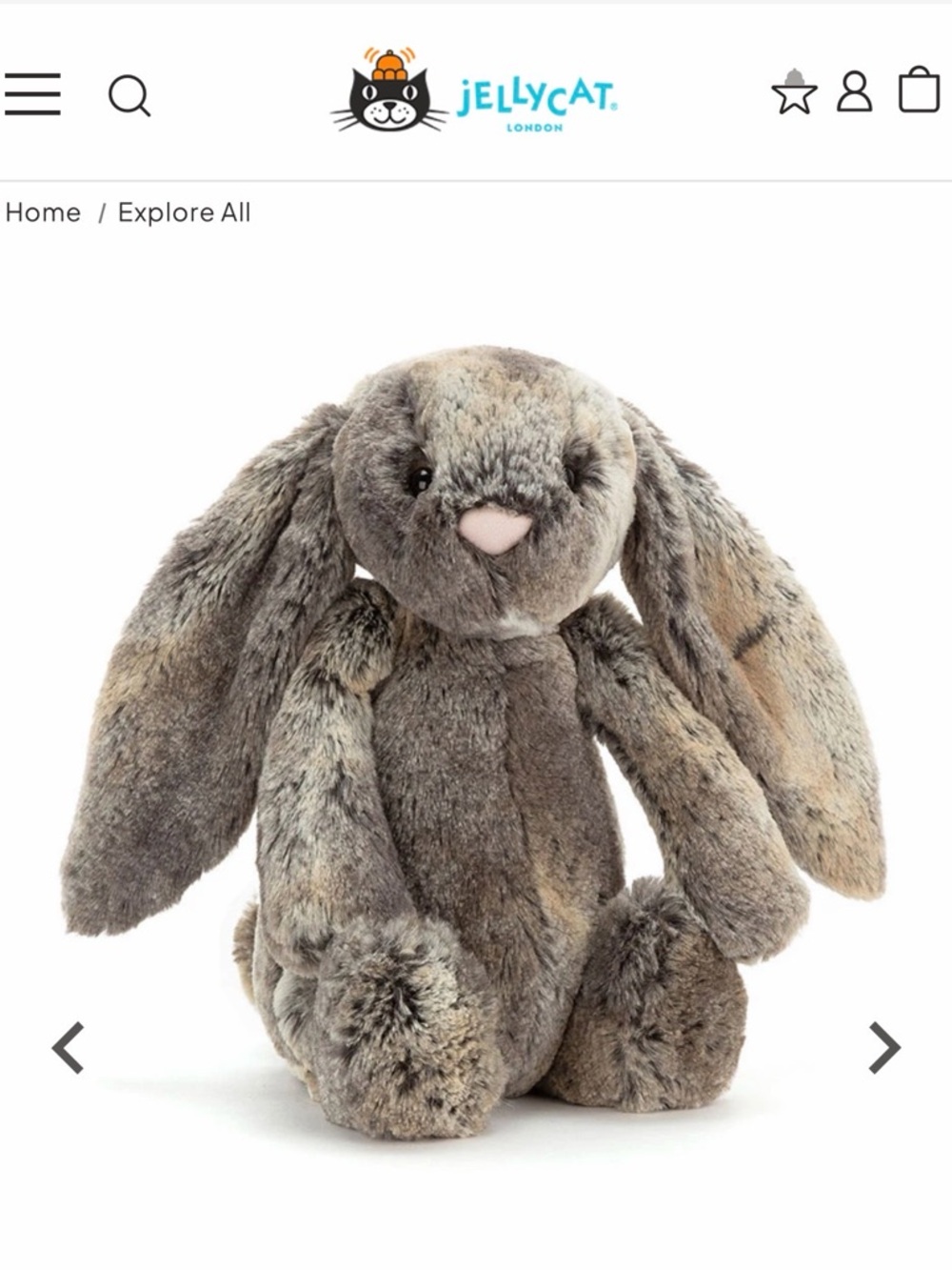 NWT Jellycat Bunny Bashful Woodland Bunny